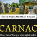 Carnac - Haut lieu d'énergie et de spiritualité, détail