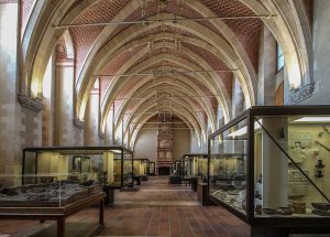 La salle d'archéologie comparée, ancienne salle de bal du château